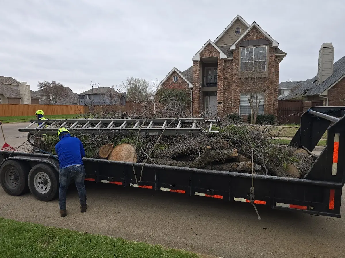 Expert Lot Clearing with proper safety equipment in Quail